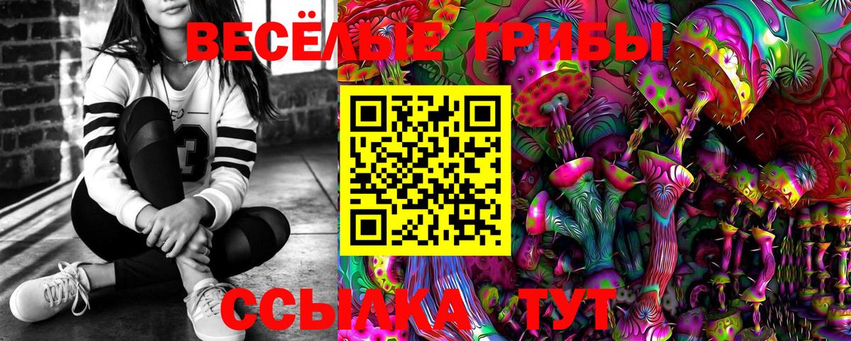 Псилоцибиновые грибы прущие грибы  Псилоцибиновые грибы прущие грибы  Александров  Вход с VPN 