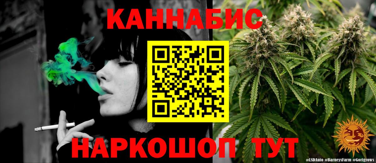 Каннабис планчик Александров